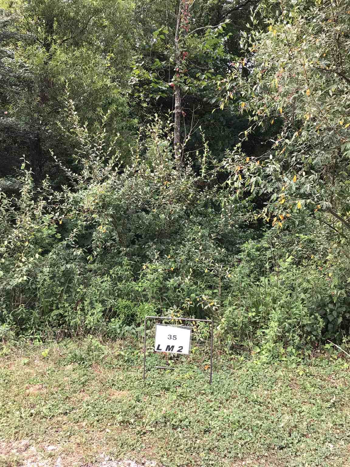 0 Don Peach Drive - Photo 1