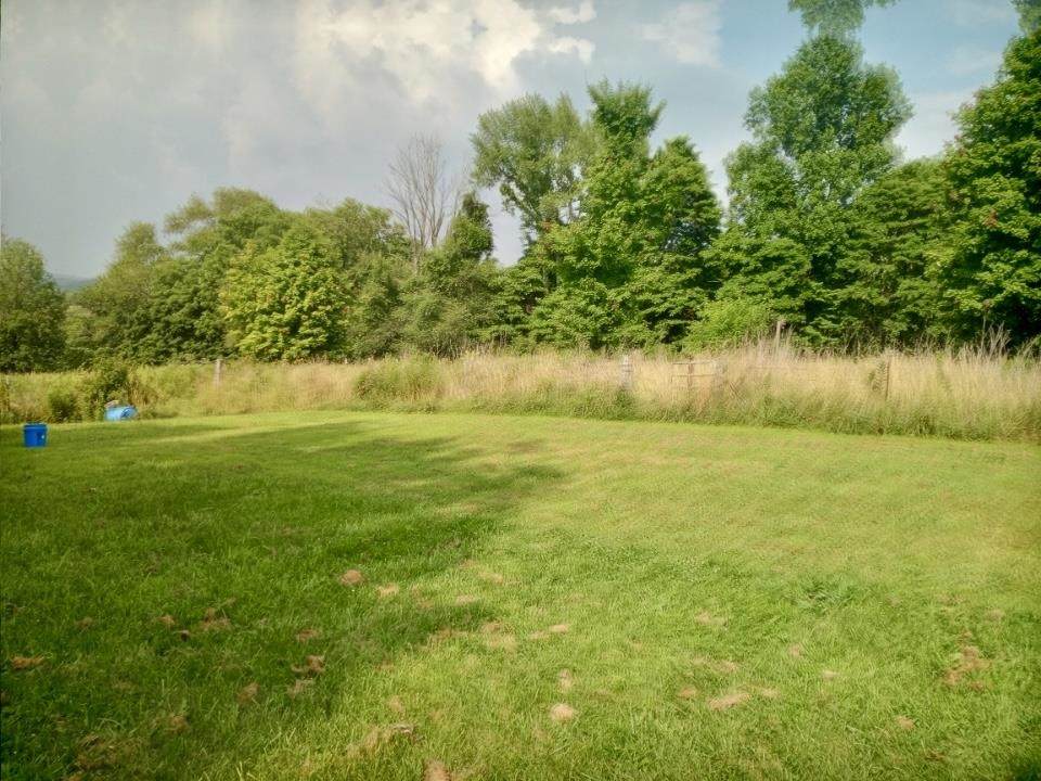 3665 Pheasant Lane - Photo 1