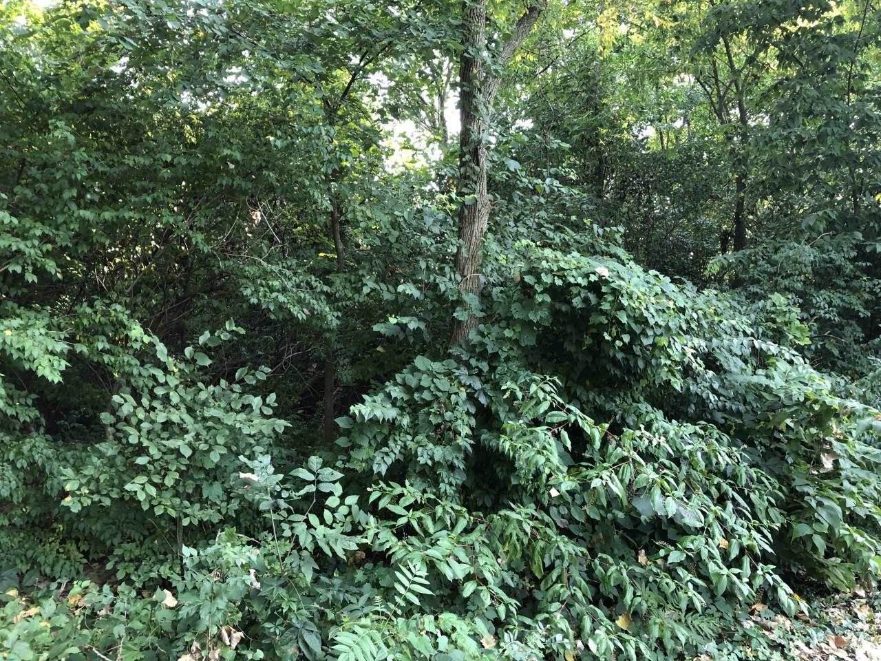 3400 Logan (Lot 118) Avenue - Photo 1