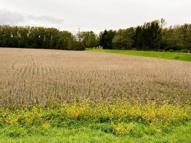 Monroe Pike - Photo 1