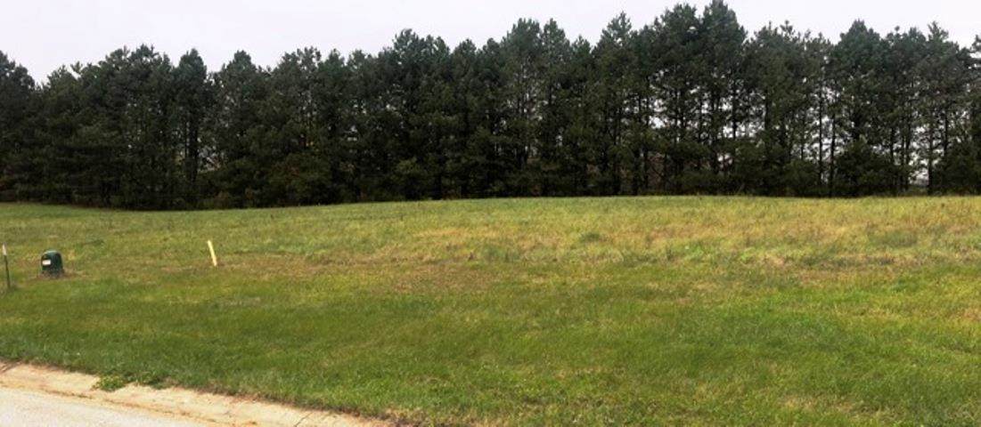 3067 Morning Glory Avenue - Photo 1