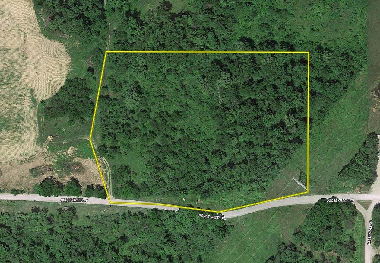 0 Goose Creek Road - Photo 1