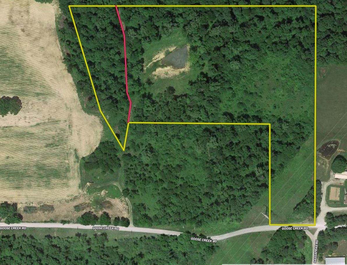 1 Goose Creek Road - Photo 1
