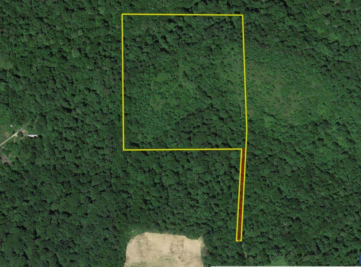 3 Goose Creek Road - Photo 1