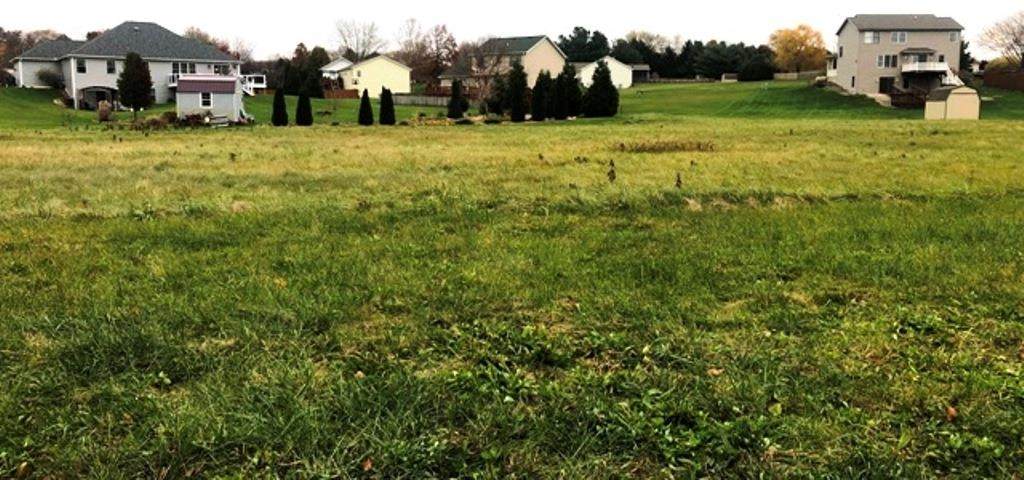 2963 Morning Glory Avenue - Photo 1