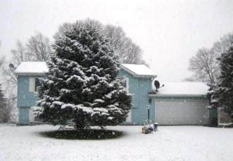 203 Leclere Street - Photo 1