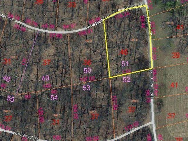 51 Oak Forest Drive - Photo 1