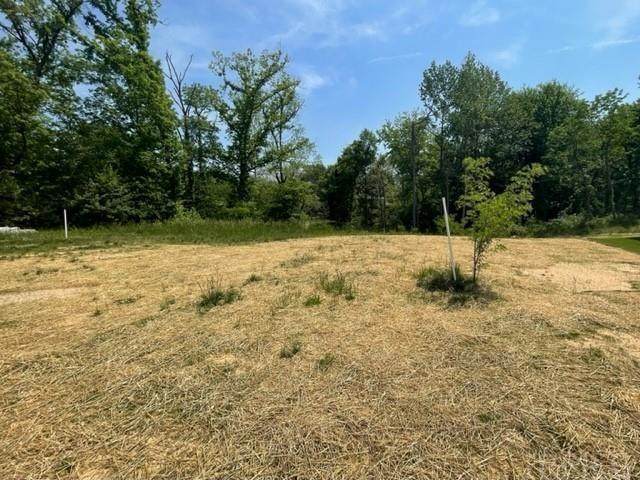 12433 Browning Manor Circle - Photo 1