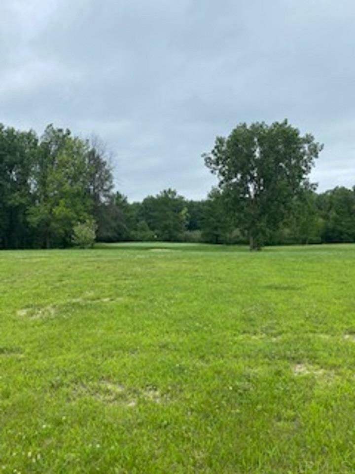 TBD Old Hickory Lane - Photo 1
