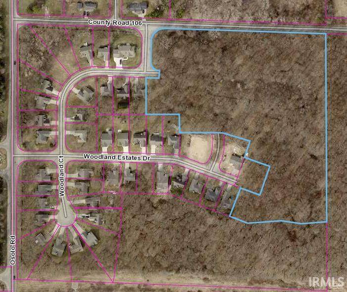 10 Acres VL County Road 106/Henke St Road - Photo 1