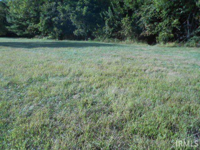  Elnora Street - Photo 1