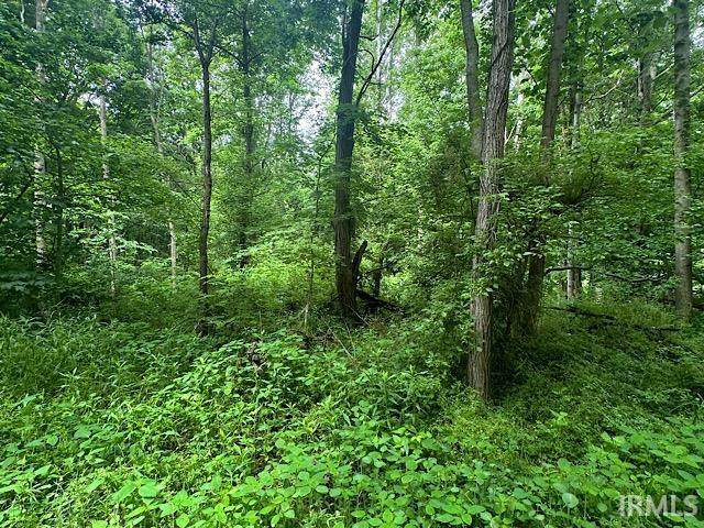 00 Lakeside Drive - Photo 1