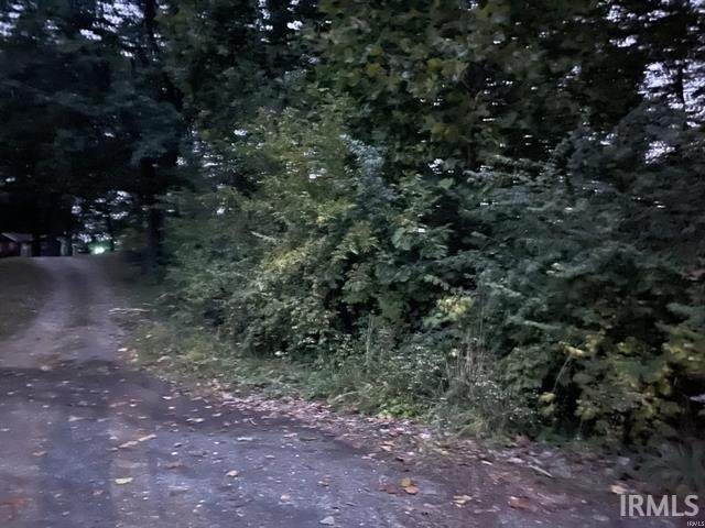 Lane 131 Turkey Lake Lot 4 & 5 Lane - Photo 1