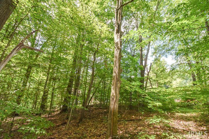 Lot 63 Viking Ridge Road - Photo 1
