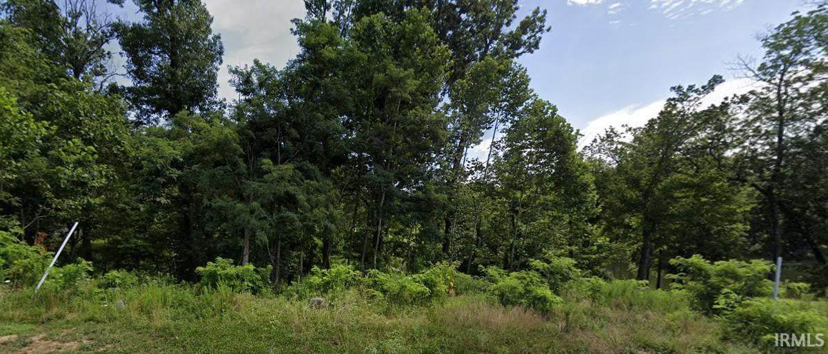 https://bt-photos.global.ssl.fastly.net/irmls/orig_boomver_1_202611285-2.jpg