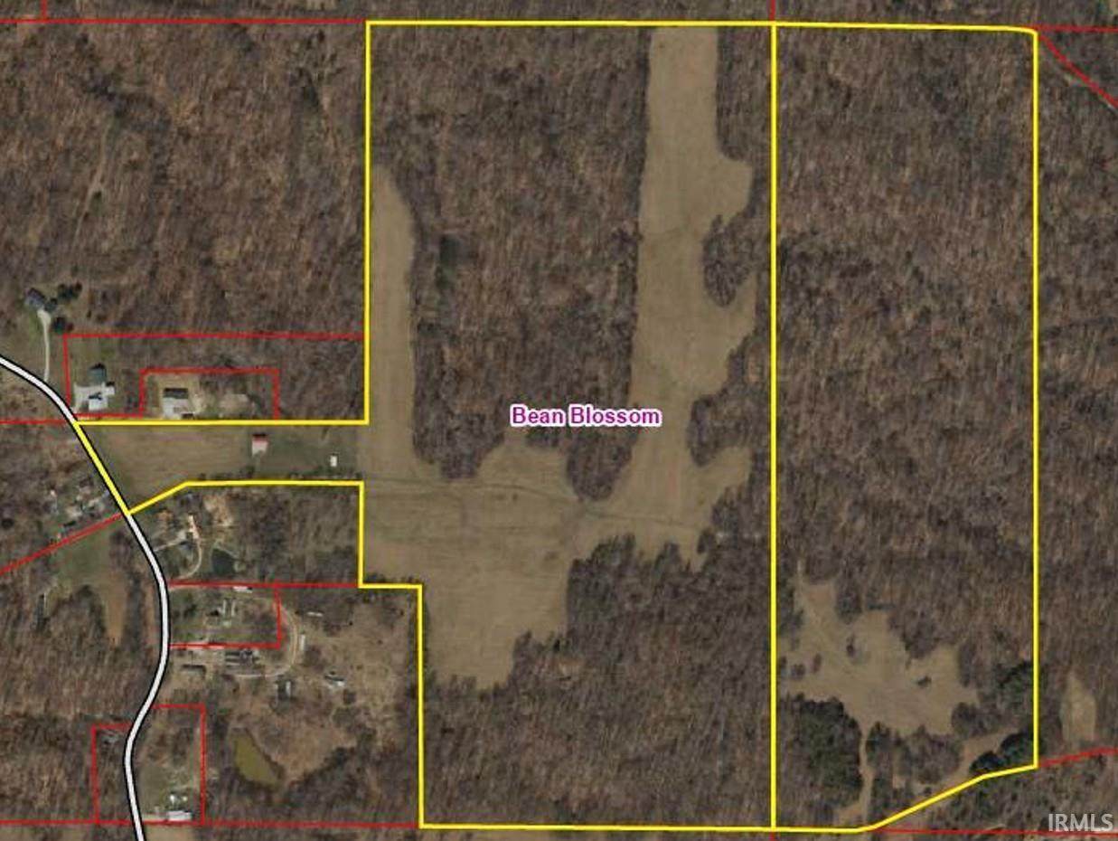9010 Texas Ridge Road - Photo 1