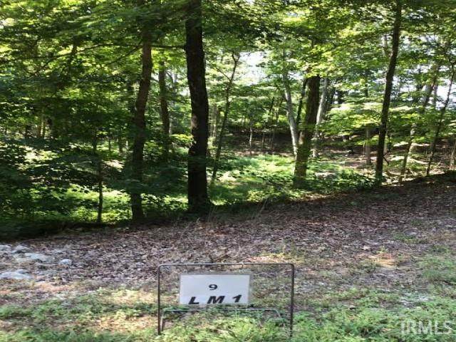 Lot 20 Kamman Court - Photo 1