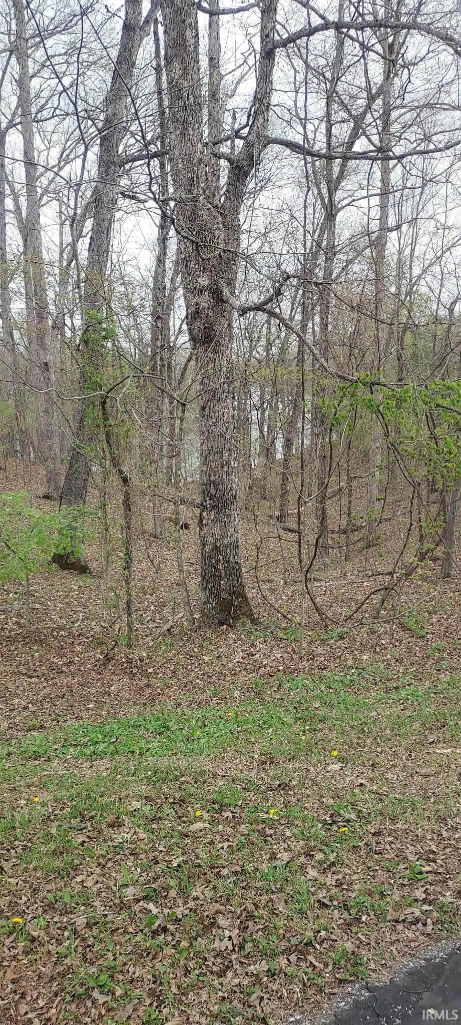 Lots 20A & 21 Hickory Ridge Lane - Photo 1