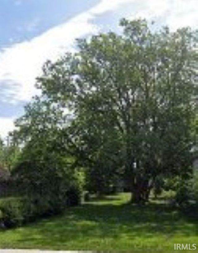 V/L ADJ 206 Birdsell Street - Photo 1