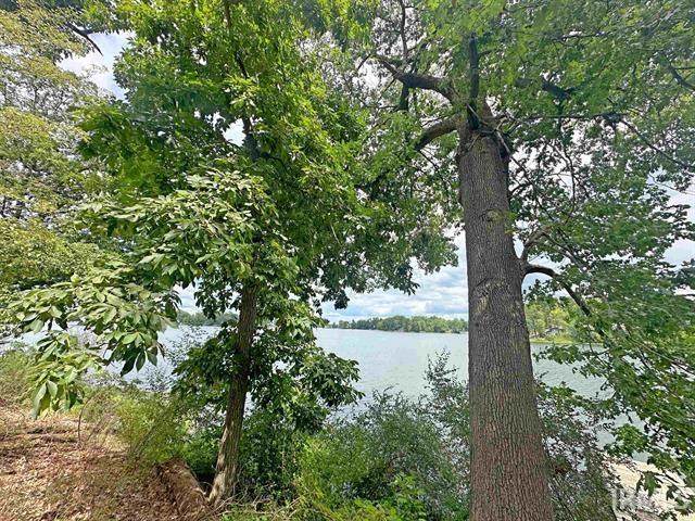 9246 Koher Road - Photo 1