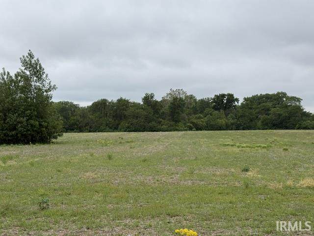 7890 1000 E Road - Photo 1