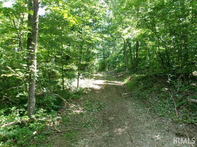 https://bt-photos.global.ssl.fastly.net/irmls/orig_boomver_1_202621292-2.jpg