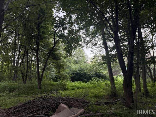 1577 Pelzer Road - Photo 1