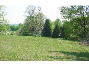 Lot 10 Blue Gate Dr - Photo 1