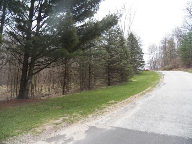 19755 Amberwood Drive - Photo 1