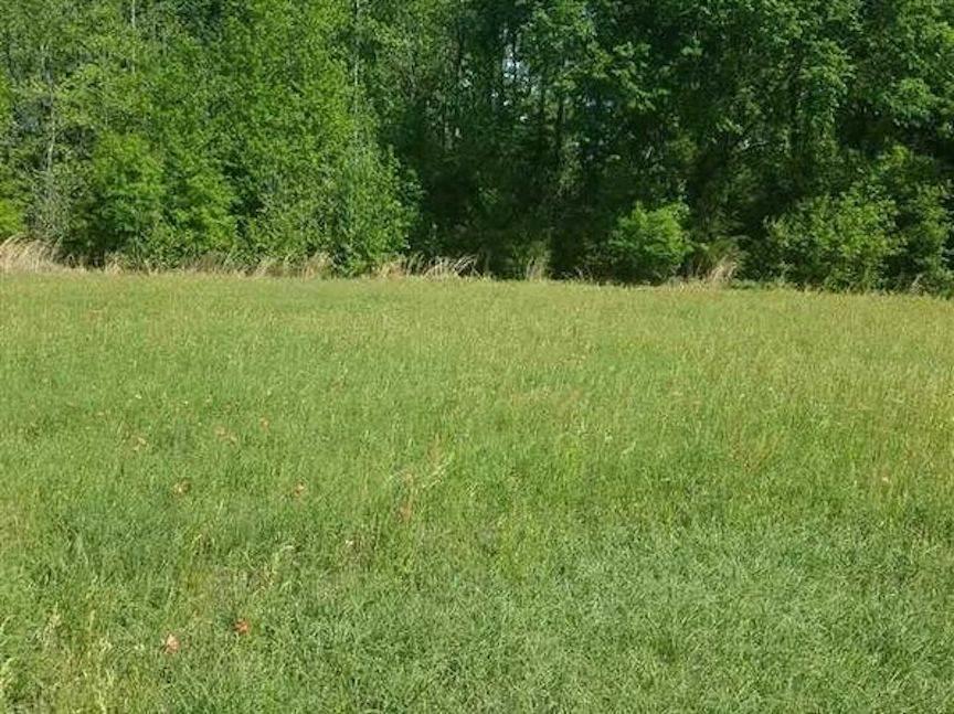 2437 Reed Road - Photo 1