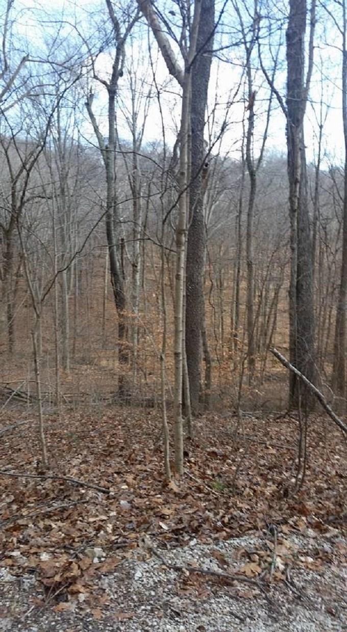 Lot 5 Wildwood Lake Shore Road - Photo 1