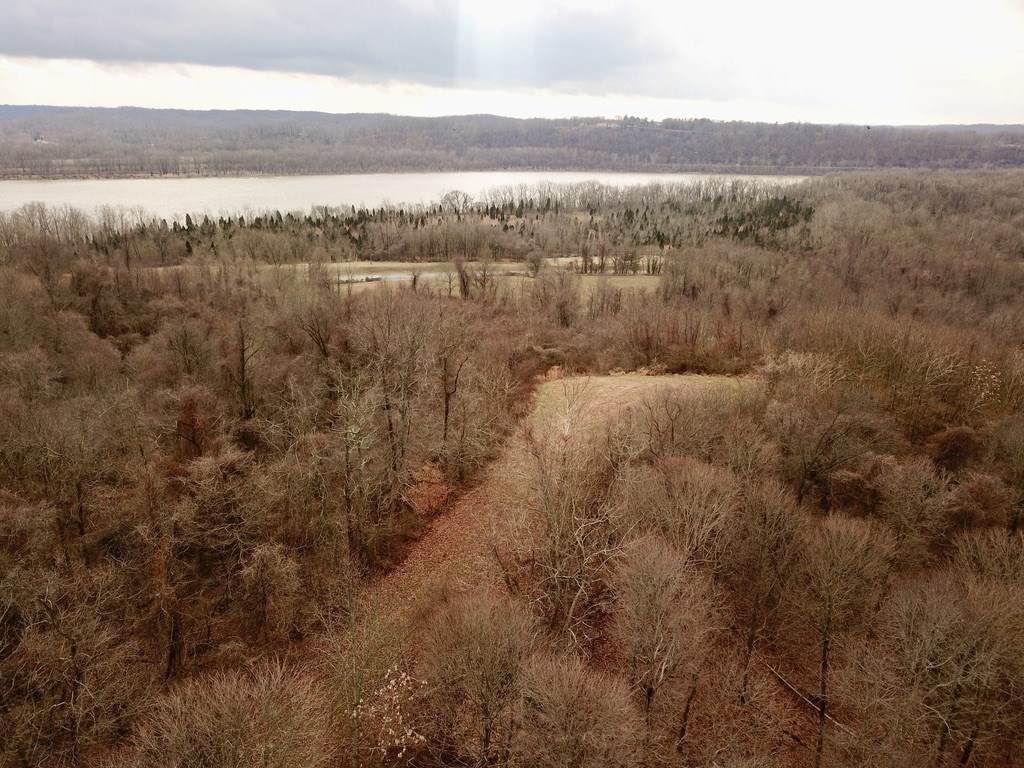 0 Sr 66 Highway - Photo 1