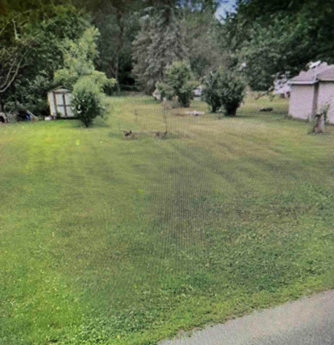 53743 County Road 5 Street - Photo 1