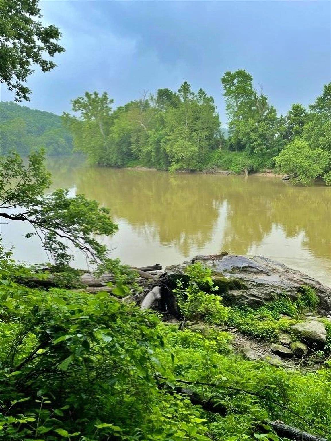 Mcbride Bluff Road - Photo 1