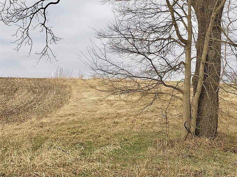Tract 12 Grant Street Street - Photo 1