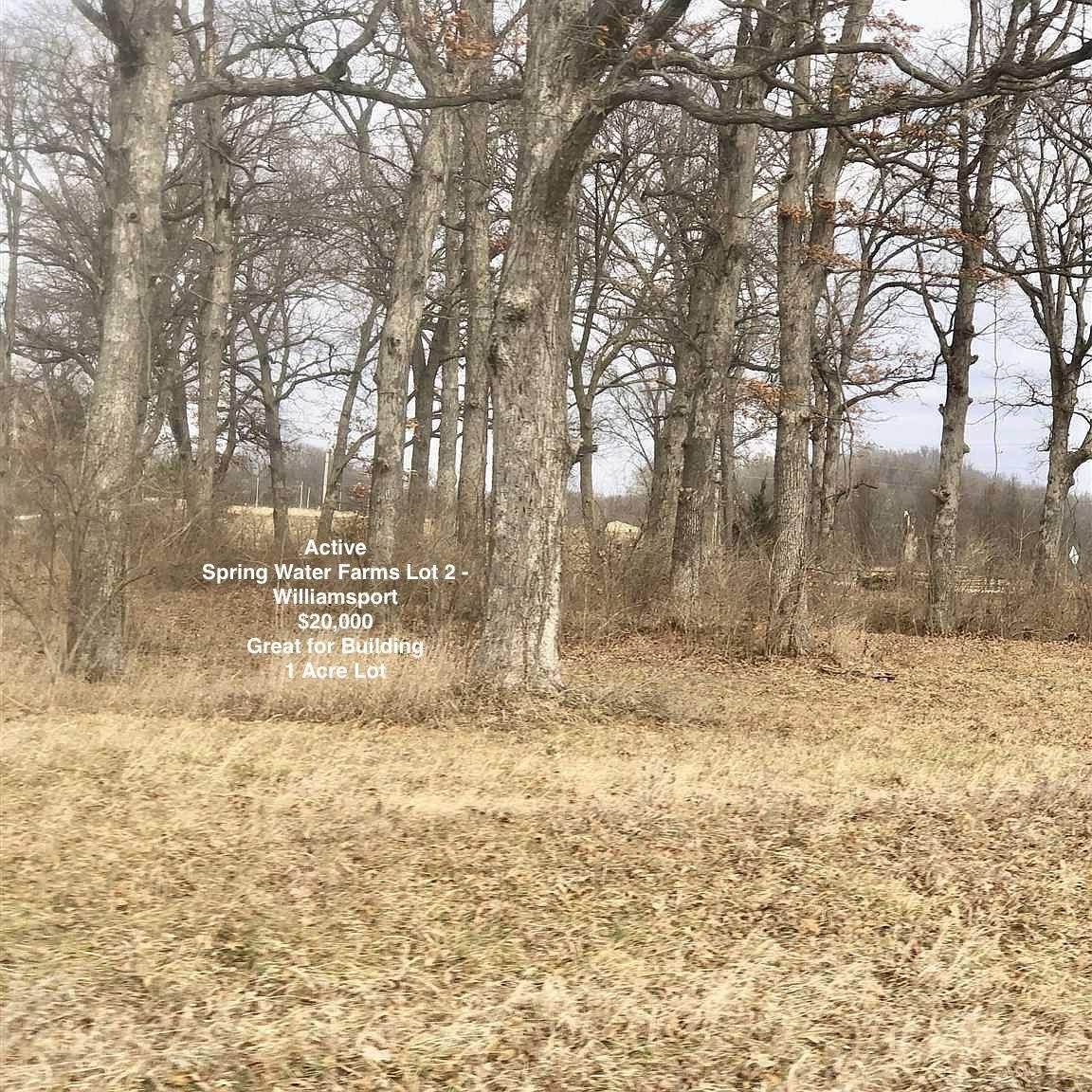 Lot 2 Spring Water Farms Street - Photo 1