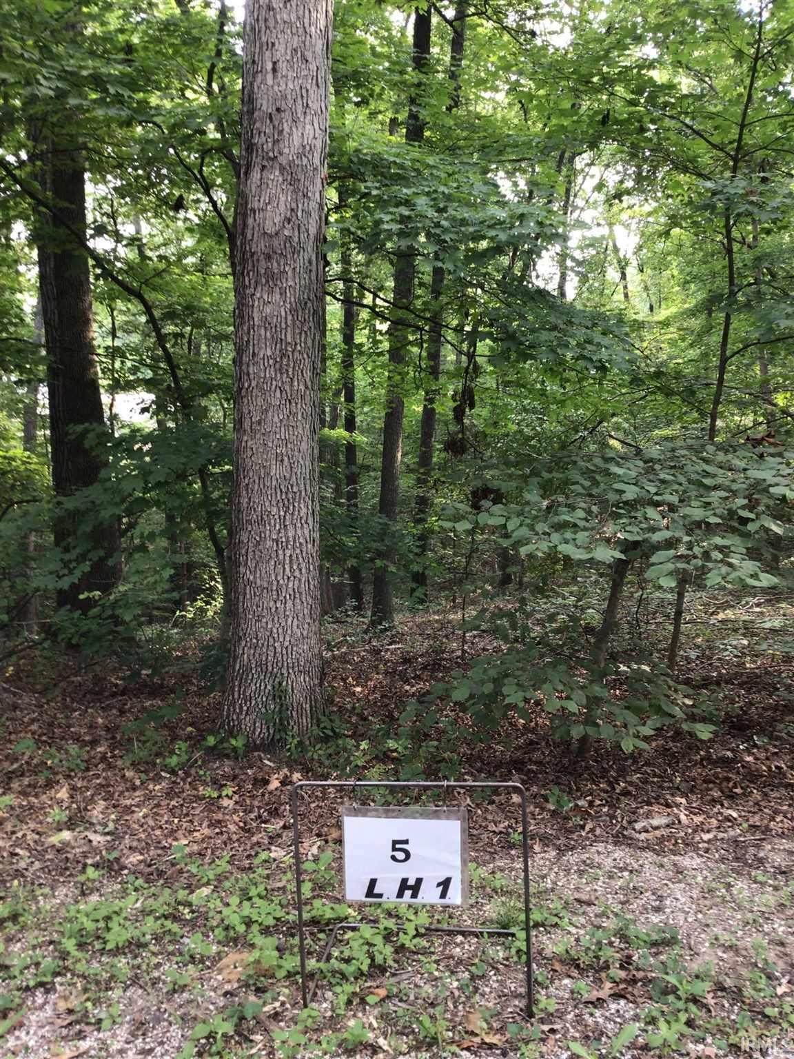 0 Mona Drive - Photo 1