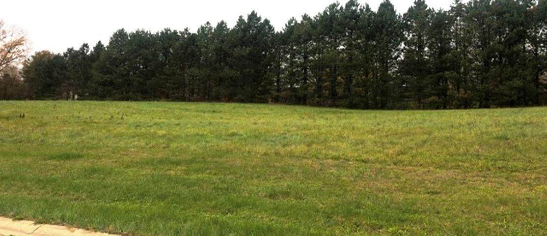 3069 Morning Glory Avenue - Photo 1