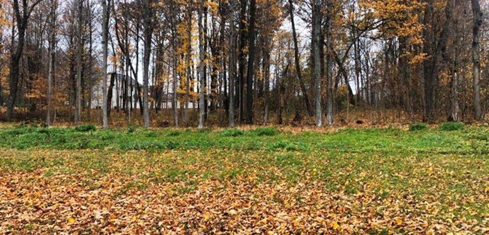 2830 Morning Glory Avenue - Photo 1