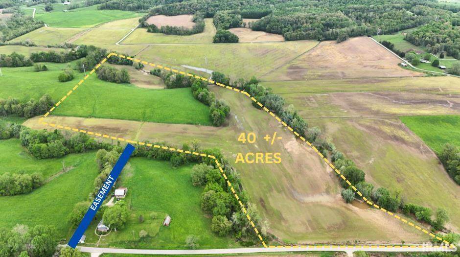 40 Acres Reinhart Road - Photo 1
