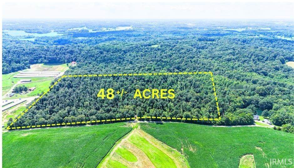 48.2 Acres Love Cemetery Road - Photo 1