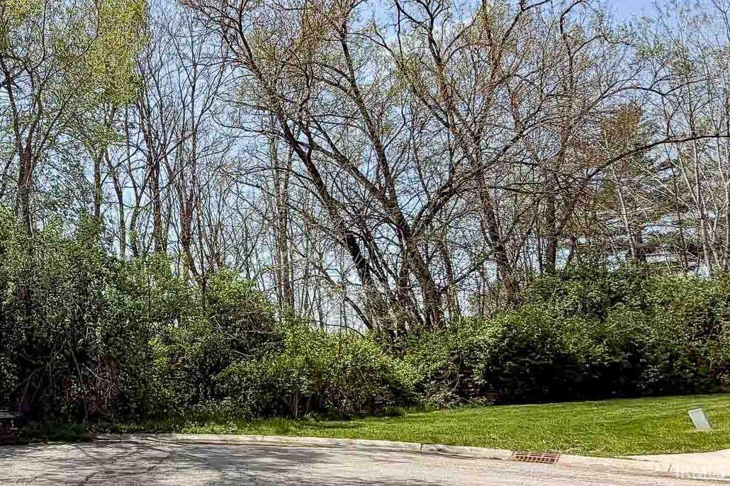 53463 Old Woodbridge Court - Photo 1
