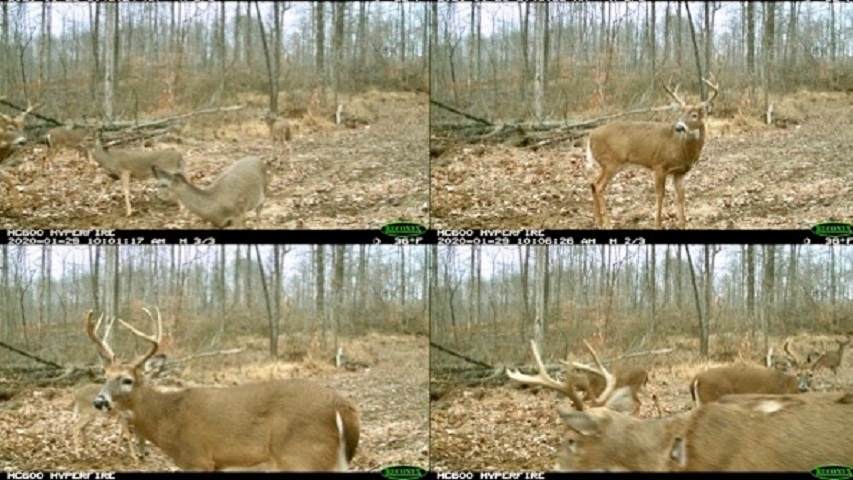 525 acres +/- Sr 450 - Photo 1