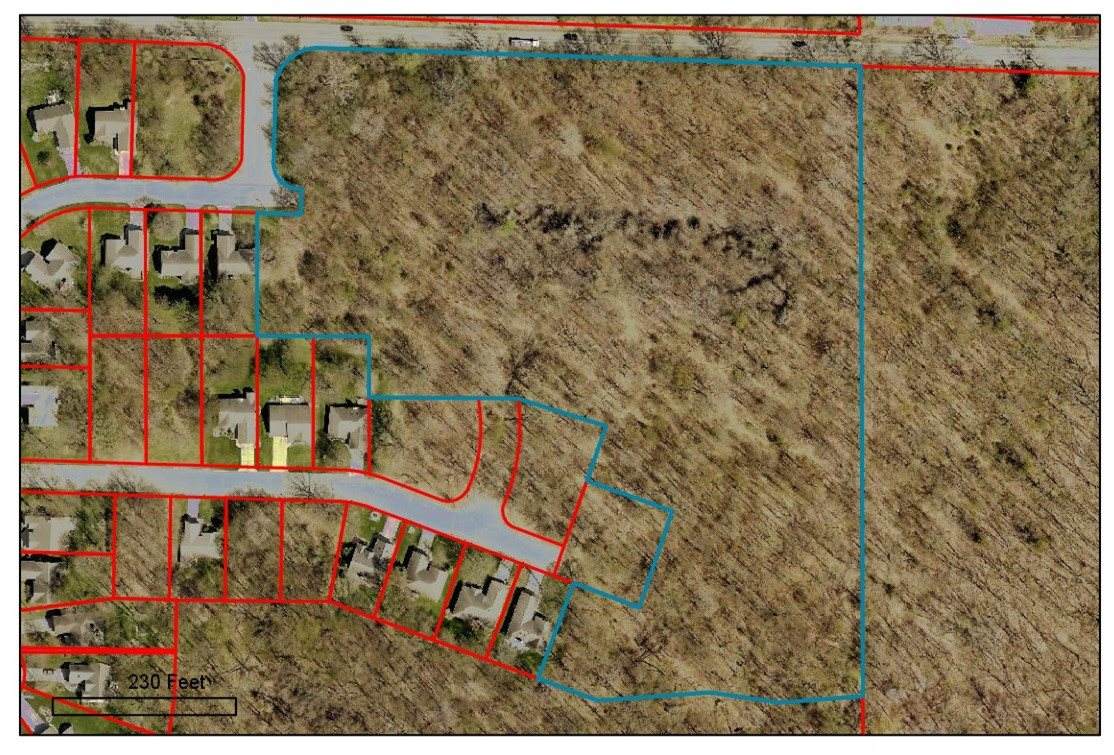 VL Woodland Estates Drive - Photo 1