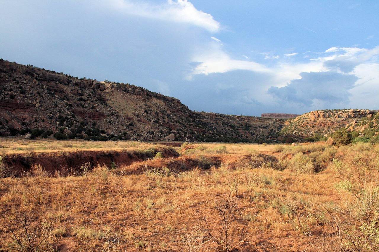 59.39 Acs Dalton Wash Rd - Photo 1
