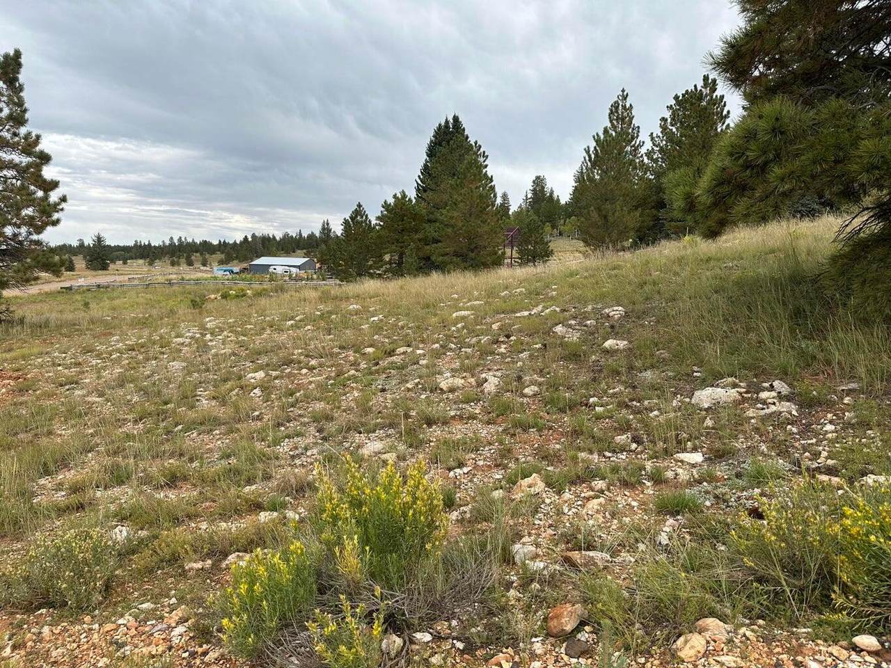 2150 Ridge View Rd - Photo 1