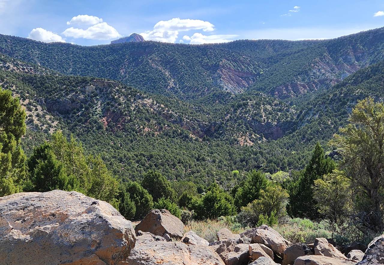 3747 Old Hwy 91 - Photo 1