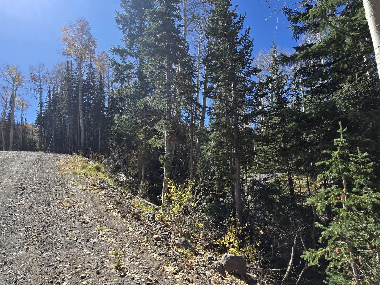 349 Scenic Dr - Photo 1