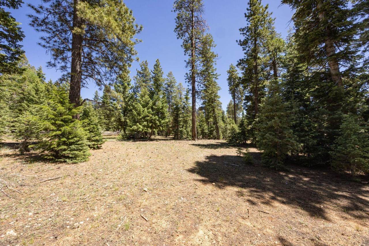 855 Bonanza Rd - Photo 1