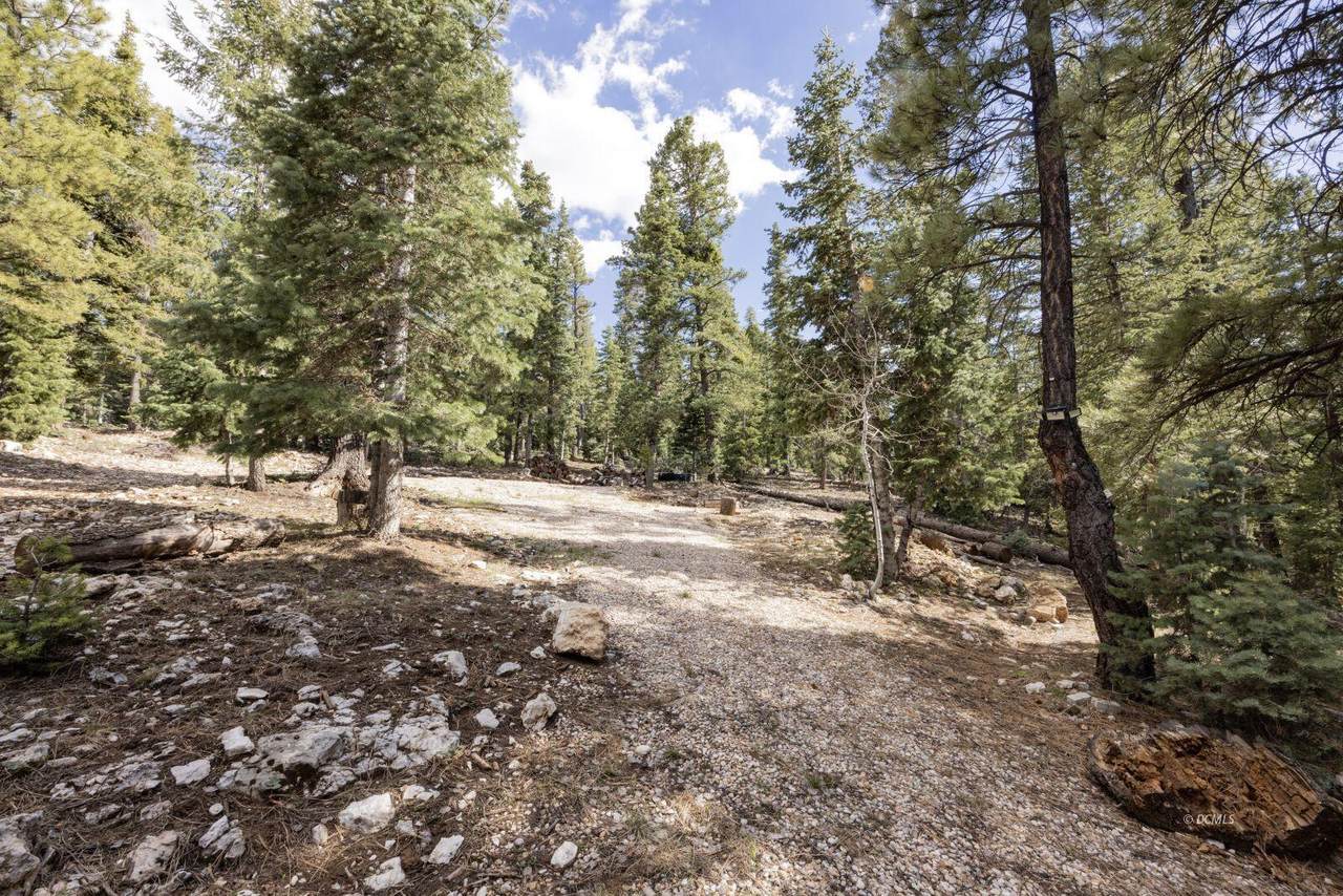 1740 Ponderosa View Lp - Photo 1